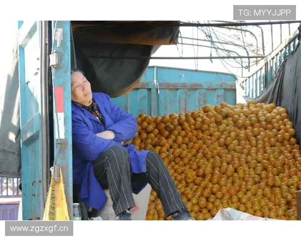 柳雅慧去菜市场像个路人，她拎的那袋水果比我一个月工资还值钱